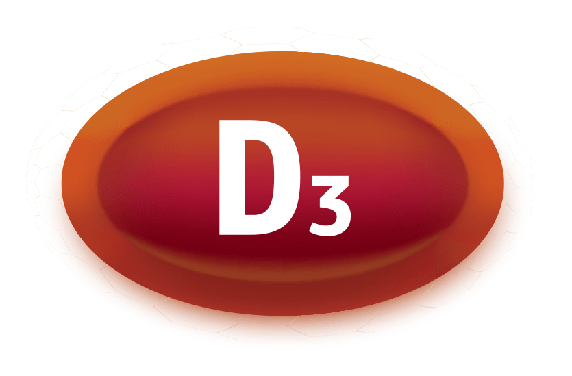 ≡ Витамин Д3 • ZEST Vitamin D3 4000 IU • Витамины ZEST